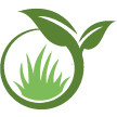 Boston Lawn Clean Up
