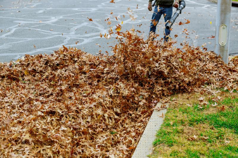 Commercial Leaf Removal