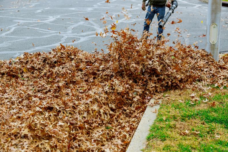Commercial Leaf Removal detail