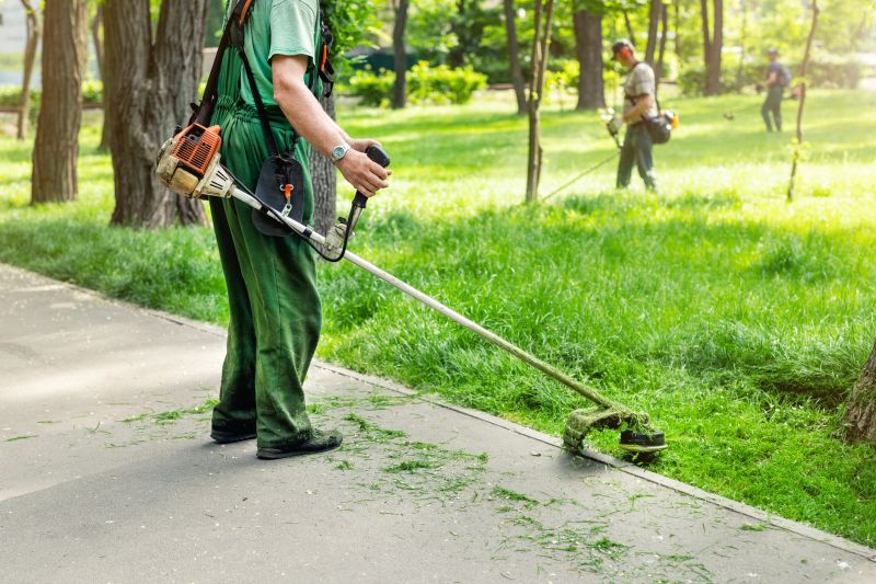 Mid-Summer Trimming