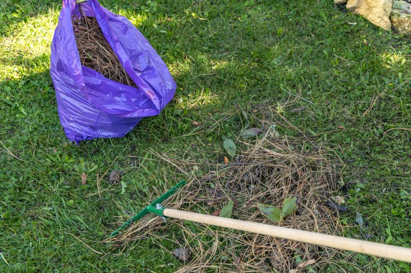Pine Straw Raking