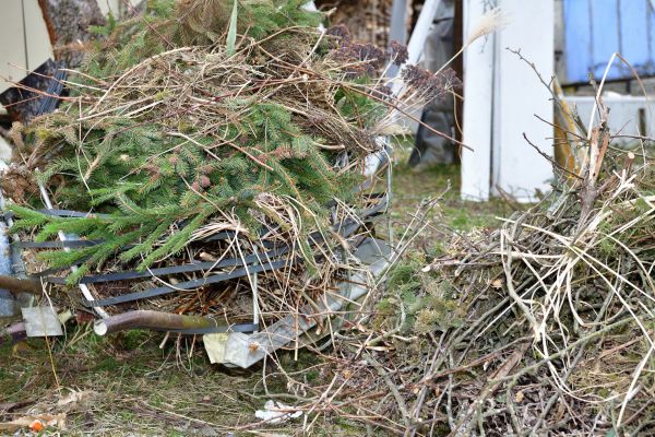 Cost of Yard Waste Removal Service in Boston