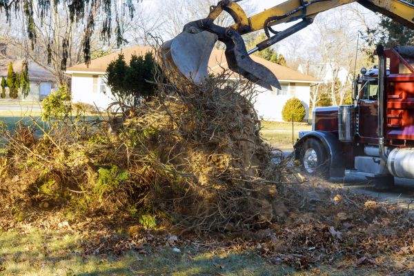 Cost of Storm Debris Removal in Boston
