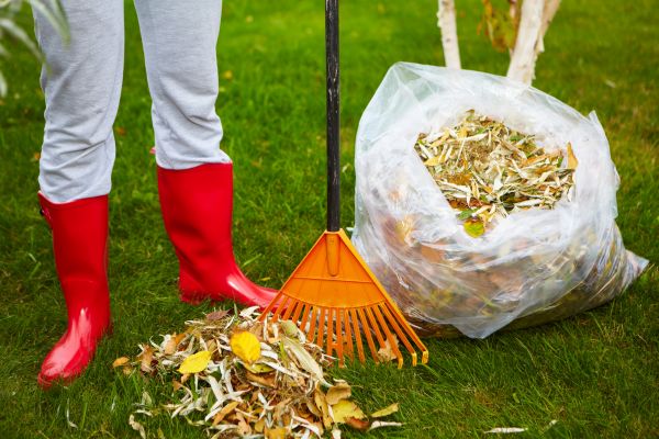 Cost of Leaf Disposal Service in Boston