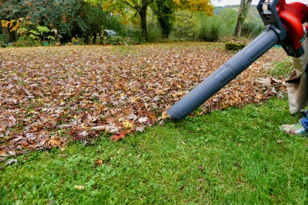 Cost of Leaves Vacuuming in Boston