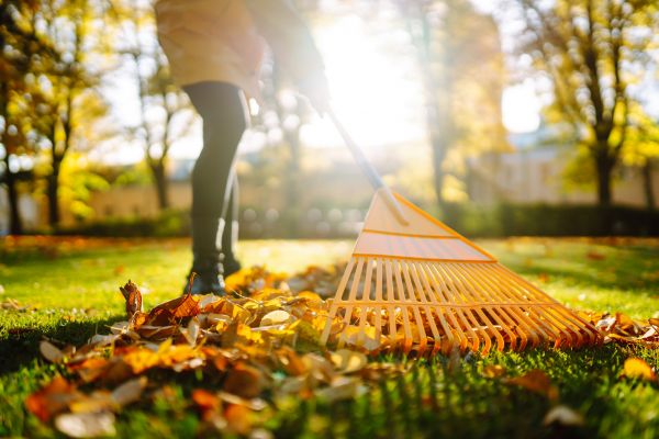 Cost of Leaves Raking in Boston