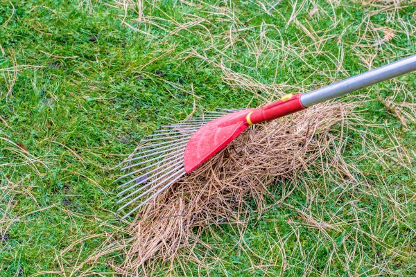 Cost of Yard Raking in Boston