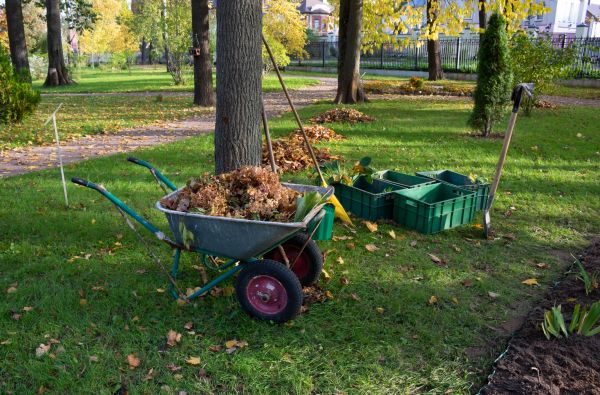 Cost of Leaf Clearing Service in Boston