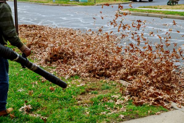Cost of Garden Leaf Removal in Boston