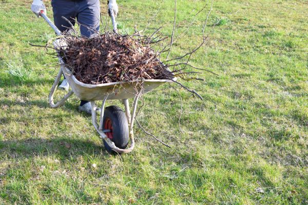 Cost of Yard Brush Removal in Boston