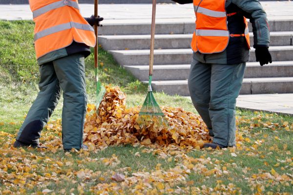Cost of Leaf Hauling Service in Boston