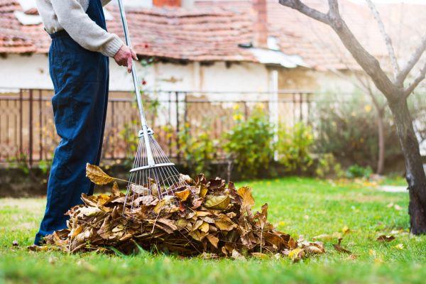 Cost of Spring Lawn Cleanup in Boston
