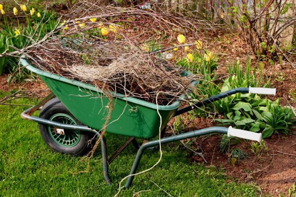 Cost of Lawn Waste Removal in Boston