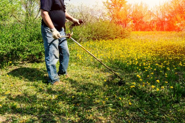 Cost of Yard Clearing Service in Boston