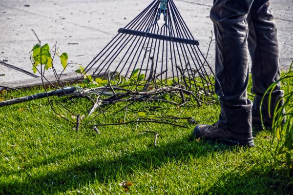 Cost of Yard Debris Cleanup in Boston