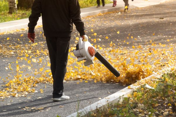 Cost of Commercial Leaf Removal in Boston